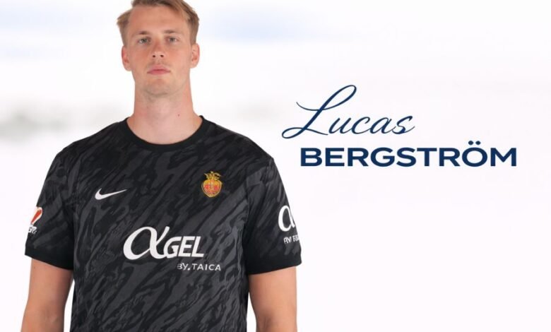 Lucas Bergström